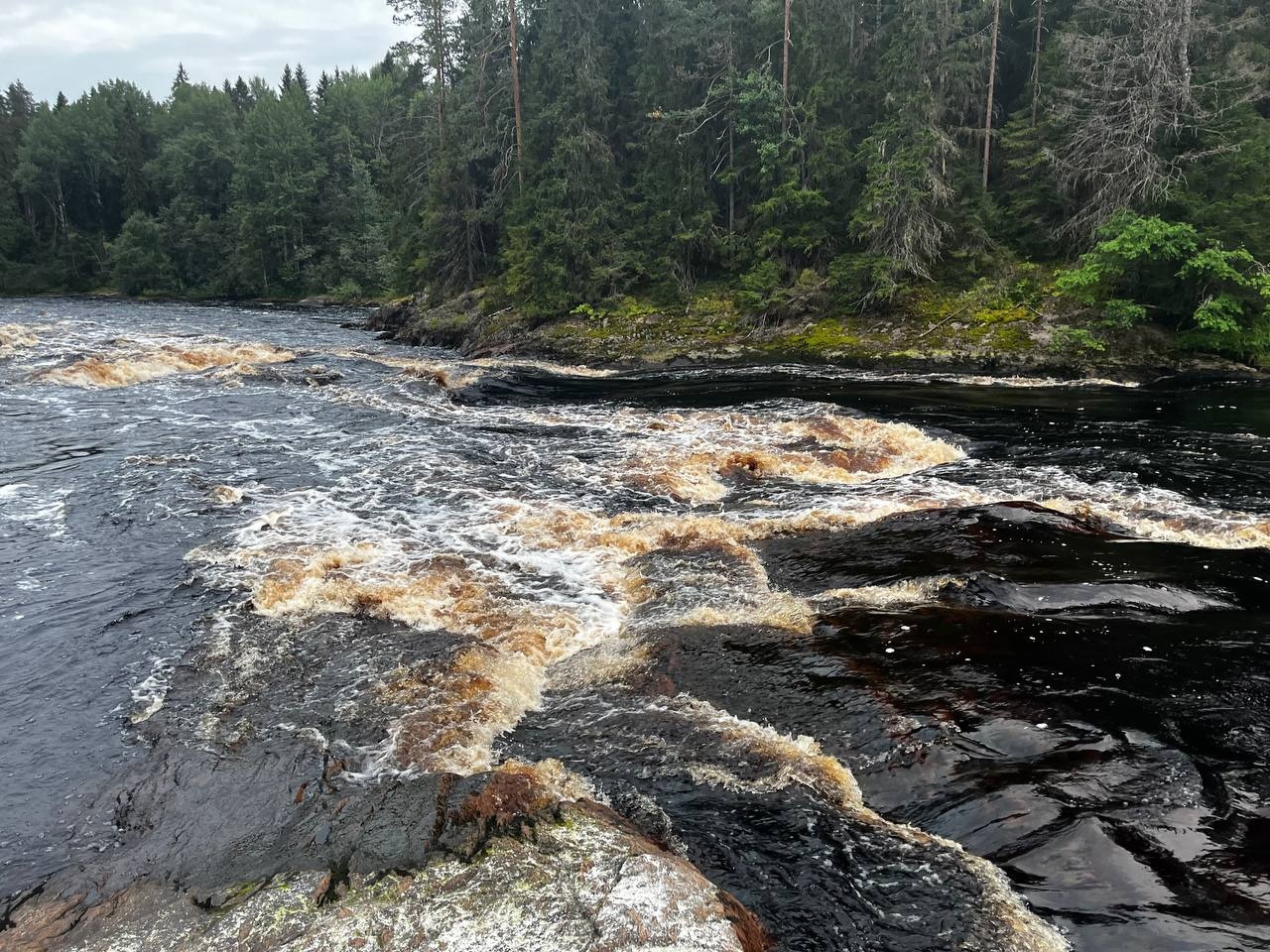 Сплав по реке Шуя