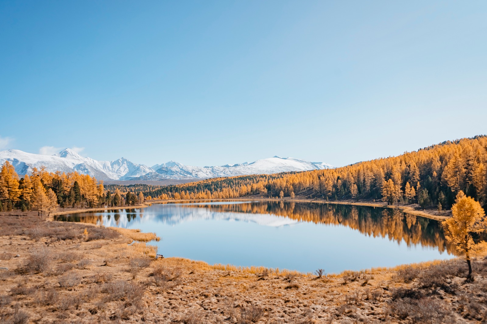 Осенние краски Алтая